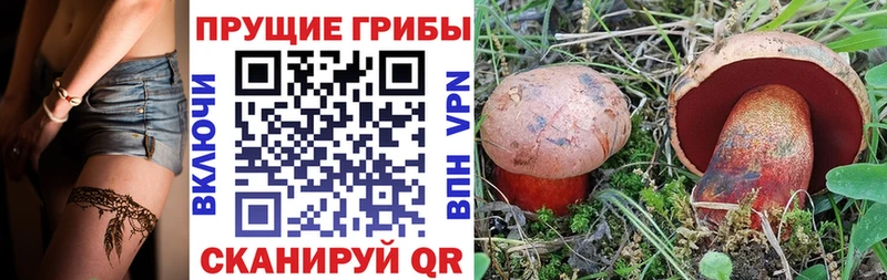 наркотики Горно-Алтайск Галлюциногенные грибы ЛСД